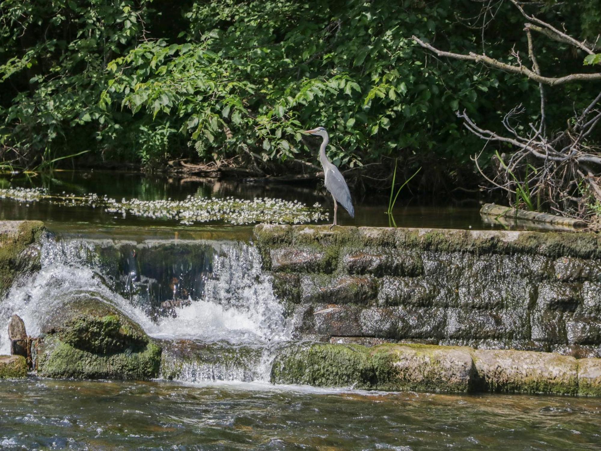 Vila 21 Eamont Park Penrith Exteriér fotografie